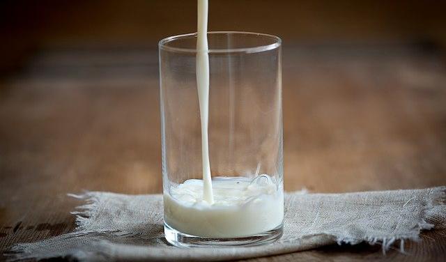 В молоке прикамского производителя нашли кишечную палочку