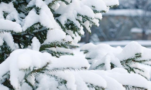 В Пермском крае на этой неделе ожидаются снегопады и потепление