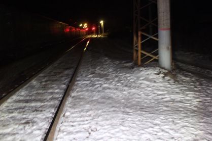 В Прикамье 8-летний мальчик травмировался, пытаясь пролезть под поездом