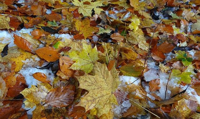 МЧС предупреждает о мокром снеге и сильном ветре в Прикамье