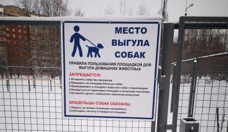 В Перми построят еще две площадки для выгула собак