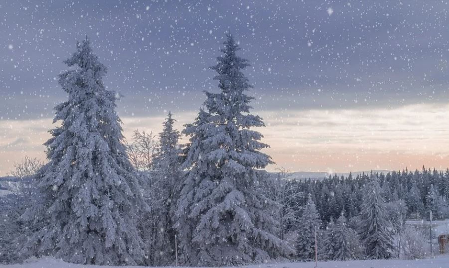 В выходные в Пермском крае ожидается похолодание до -11 градусов и снег
