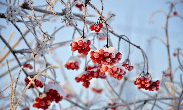 В Пермском крае на этой неделе ожидается похолодание до -20 градусов