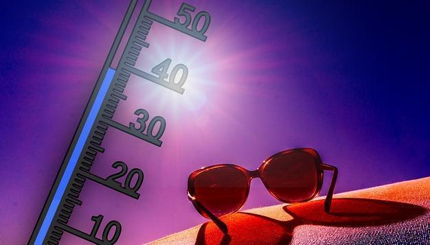 Синоптики: на неделе в Прикамье ожидается жара до +37°